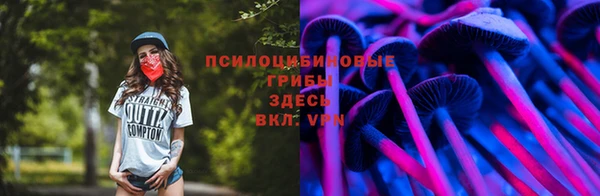эйфоретик Алексин