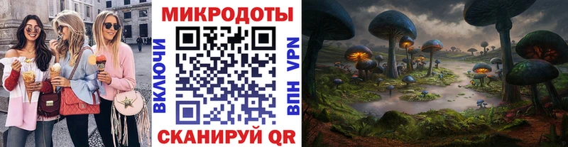 Псилоцибиновые грибы Psilocybe даркнет сайт Кохма